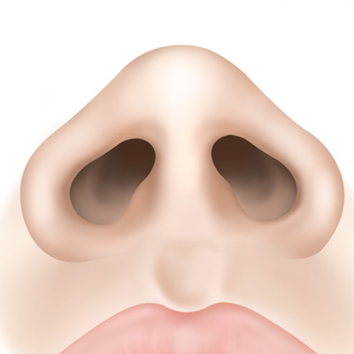 Profile 2