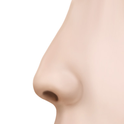 Profile 1
