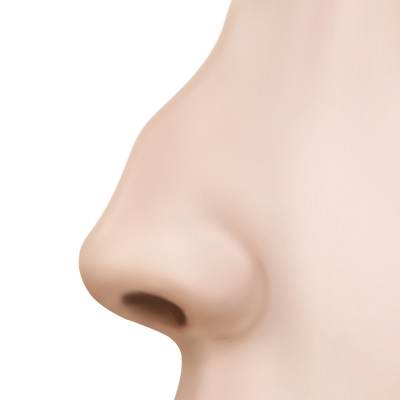 Profile 2