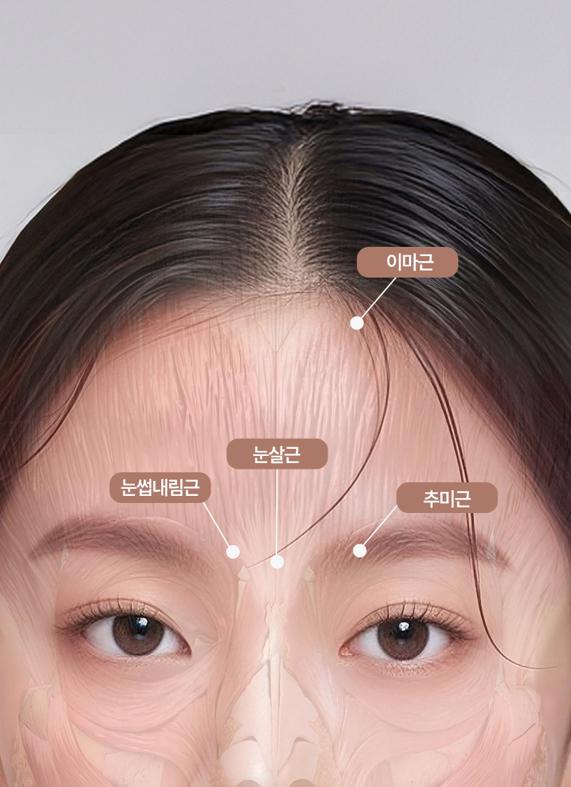 이마거상